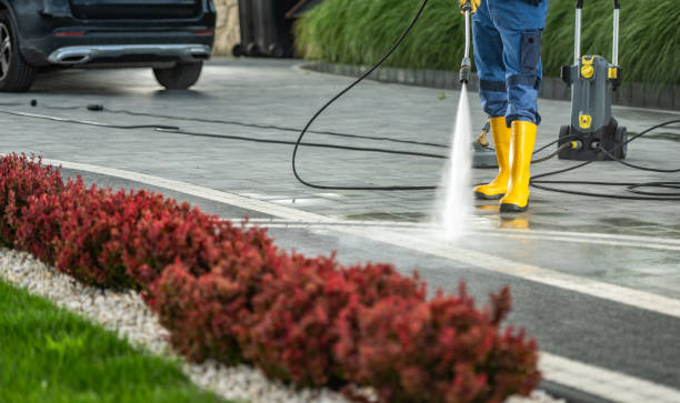 Best Roof Power Washing Services  in Jackson, OH